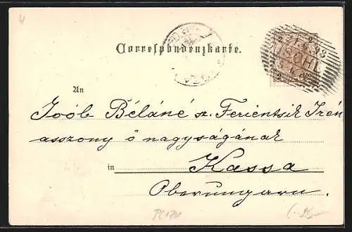 Lithographie Ischl, Hotel Bauer, Kaiserliche Villa, Totalansicht