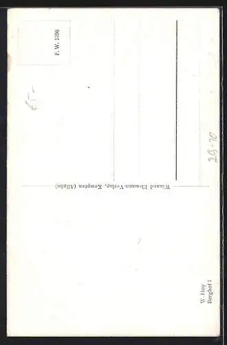 Ölgemälde-Imitations-AK Winand Elsmann-Verlag Nr. 1396: Berghof gegen das Gebirge