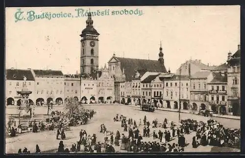 AK C. Budejovice, Namesti Svobody, Strassenbahn