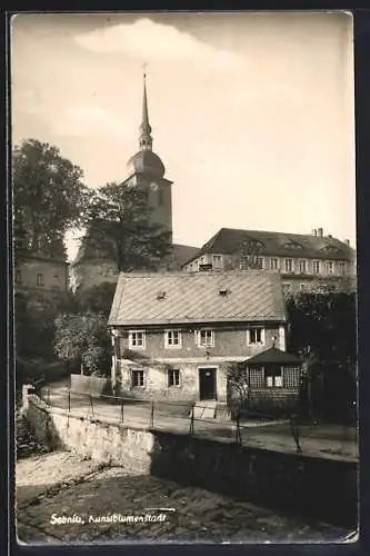 AK Sebnitz /Sa., Strassenpartie mit Mauer und Kirche