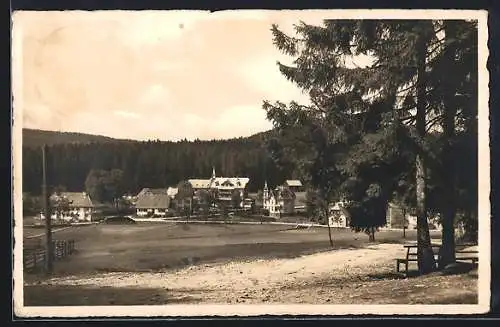 AK Herrenwies /Bühl i. B., Kurhaus mit Gastahus zum Auerhahn