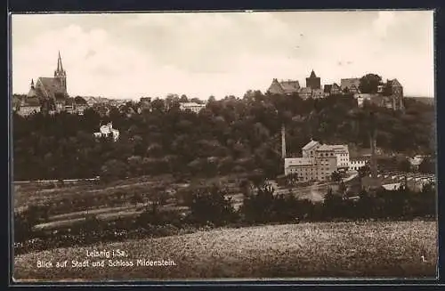 AK Leisnig /Sa., Ortsansicht mit Schloss Mildenstein