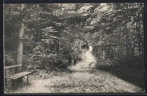 AK Bleicherode, Waldweg vom Försterstieg aus