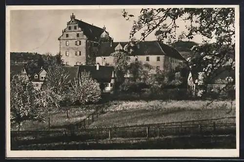 AK Schloss Michelbach /Schwäb. Hall, Vegetarisches Landerziehungsheim, Realgymnasium und Oberrealschule