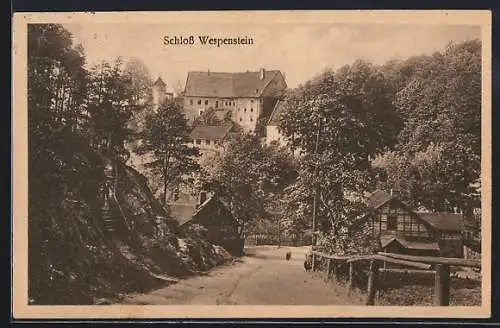 AK Gräfenthal /Th., Schloss Wespenstein von der Strasse aus