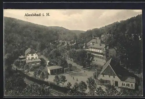 AK Alexisbad i. H., Totalansicht aus der Vogelschau