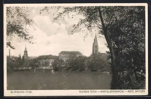 AK Altenburg /Th., Kleiner Teich, Bartolomaikirche, Rote Spitzen