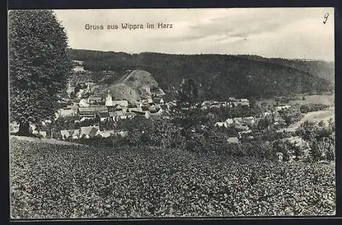 AK Wippra im Harz, Ortsansicht von einer Anhöhe aus