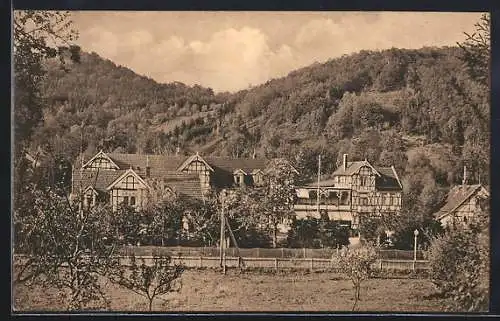 AK Sülzhayn /Südharz, Stubbe mit Wald