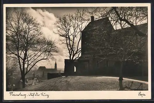 AK Nürnberg, Blick auf die Burg