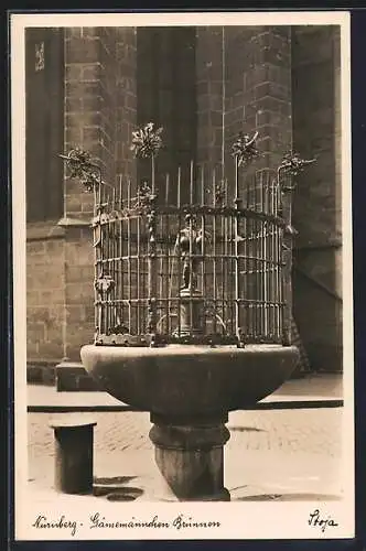 AK Nürnberg, Gänsemannchen Brunnen