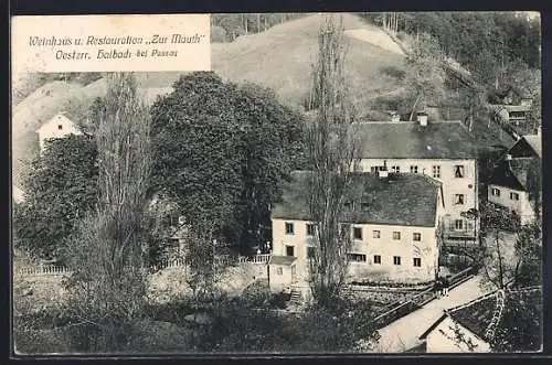 AK Österr. Haibach, Weinhaus u. Restauration Zur Mauth