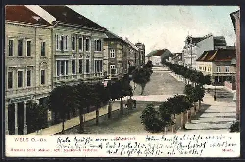 AK Wels /O.-Oe., Ringstrasse mit Bäumen