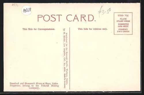 AK Mace, ID, Standard and Mammoth Mines