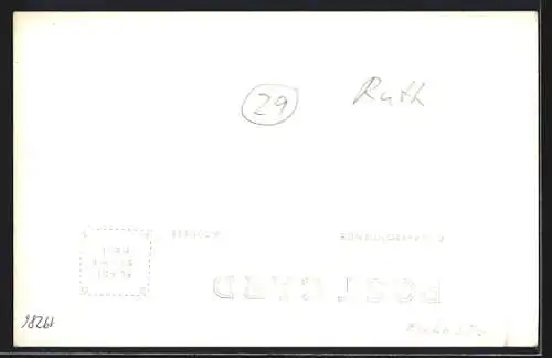 AK Ruth, NV, Copper pit