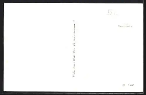 AK St. Veit im Mühlkreis, Teilansicht mit Kirche