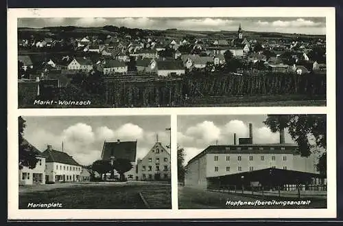 AK Markt-Wolnzach, Hopfenaufbereitungsanlage, Marienplatz und Gesamtansicht