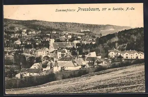 AK Pressbaum, Ortsansicht von einen Berg aus