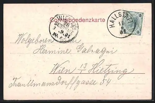 AK Hallstatt, Ortsansicht aus der Vogelschau