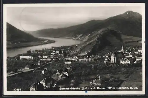 AK Spitz a. d. Donau, Gesamtansicht von einen Berg aus