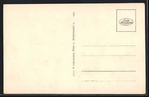 AK Krems a. d. Donau, Ortsansicht mit Kirchen