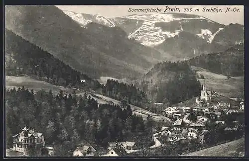 AK Prein, Ortsansicht aus der Vogelschau