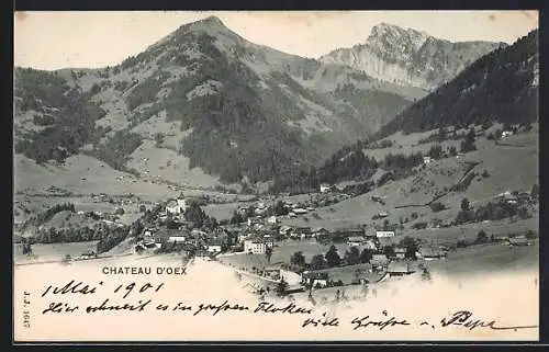 AK Chateau D`Oex, Ortsansicht von einen Berg aus