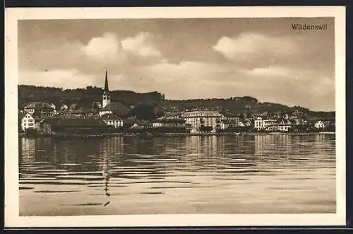 AK Wädenswil, Ortsansicht über dem Zürichsee