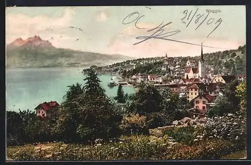 AK Weggis, Gesamtansicht von einen Berg aus