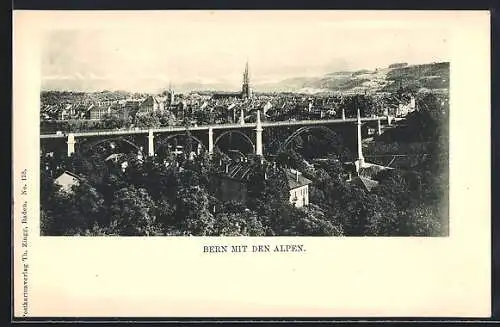 AK Bern, Stadtansicht mit den Alpen