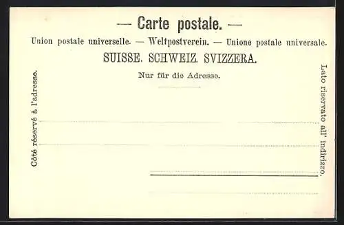 AK Bern, Stadtansicht mit den Alpen