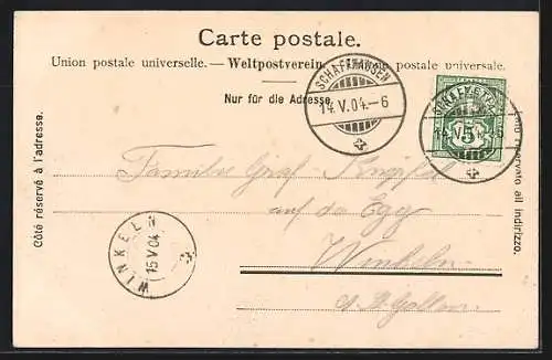 AK Schaffhausen, Ortsansicht mit Fischerhäuserberg