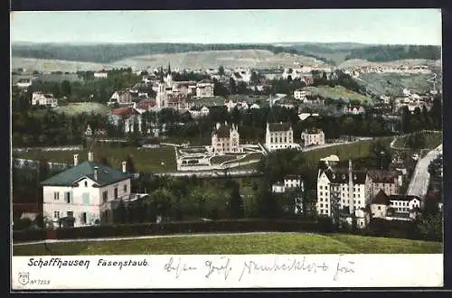 AK Schaffhausen, Panorama, Fäsenstaub