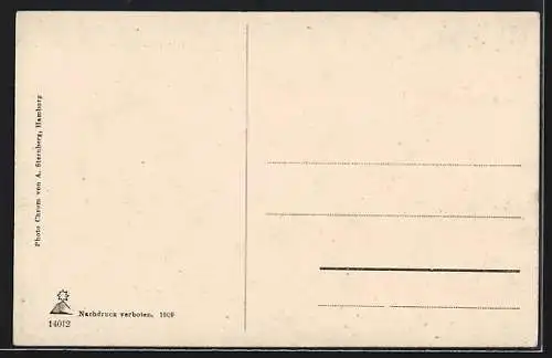 AK Wilhelmshaven, Torpedobootshafen mit Reichsfahne