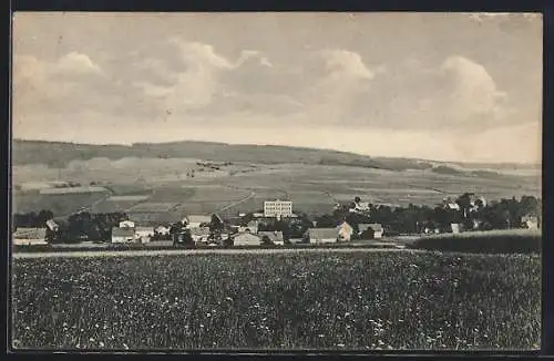 AK Niederzwönitz, Ortsansicht aus der Ferne