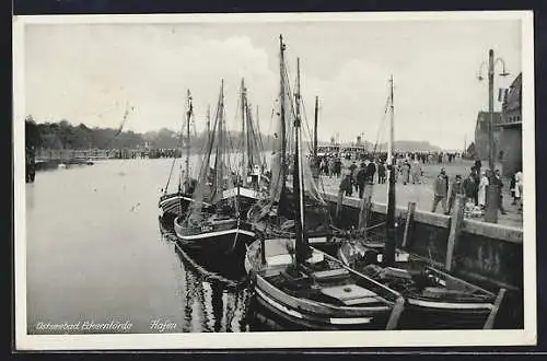 AK Eckernförde / Ostseebad, Hafenpartie mit Booten und Promenade