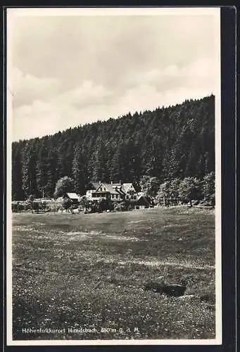 AK Hundsbach / Schwarzwald, Ortspartie mit Gasthaus zur Forelle