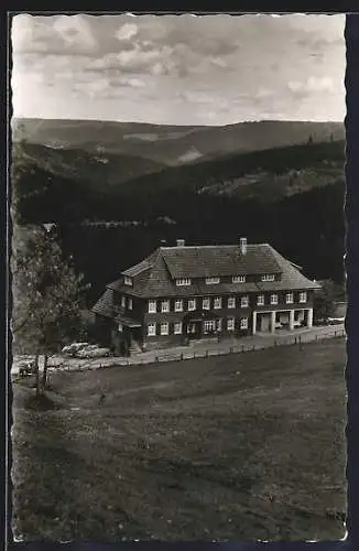 AK Hundsbach / Schwarzwald, Gasthaus und Pension zur schönen Aussicht