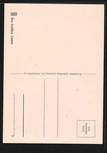 AK Stralsund, Rathaus und Nicolaikirche