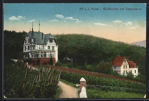 AK Alf /Mosel, Hotel Waldfrieden mit Dependance und Umgebung