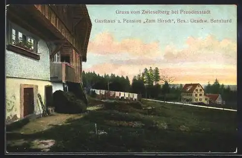 AK Zwieselberg bei Freudenstadt, Gasthaus und Pension Zum Hirsch