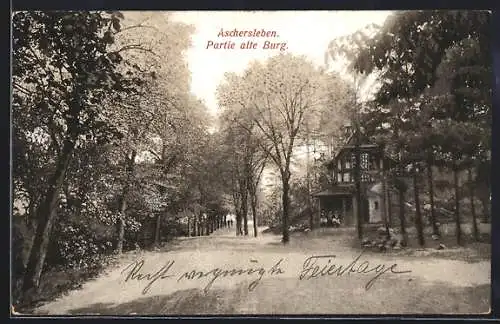 AK Aschersleben, Partie alte Burg, Strasse mit Gebäude