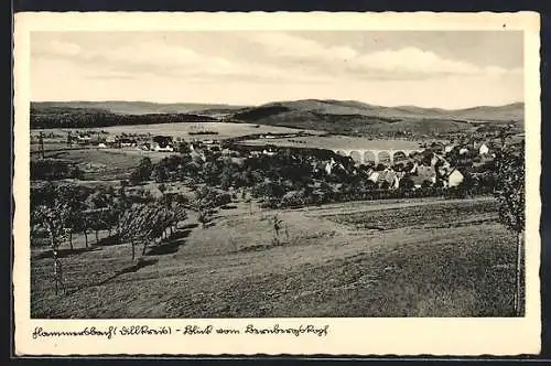 AK Flammersbach /Dillkreis, Blick vom Bernburgskopf auf Ort und Viadukt