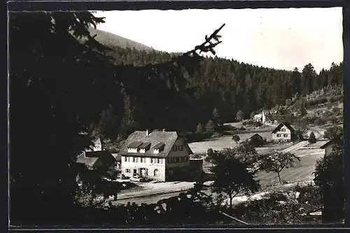 AK Erbersbronn /Schwarzwald, Gathaus zum grünen Wald M. Benz mit Strasse