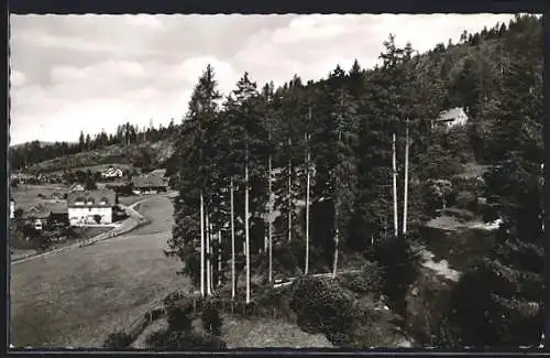 AK Erbersbronn /Schwarzwald, Gathaus zum grünen Wald M. Benz mit Umgebung