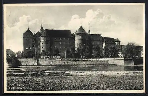 AK Torgau, Schloss Hartenfels vom Wasser aus