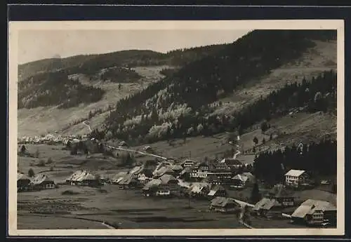 AK Menzenschwand /Schwarzwald, Gesamtansicht aus der Vogelschau