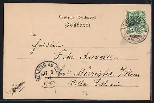 AK Dresden-Loschwitz, Burgberg, Ortsansicht mit Elbe