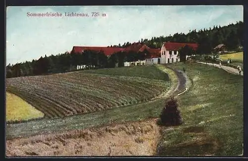 AK Lichtenau / Bayr. Wald, Ortspartie mit Acker und Landstrasse