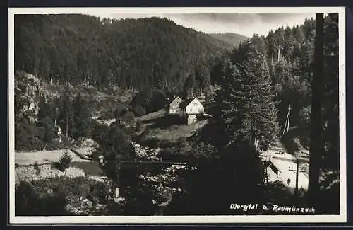 AK Raumünzach /Murgtal, Murgtalpartie aus der Vogelschau